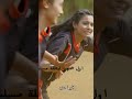مسلسل صدمة تصميمي لايك اغاني اكسبلور مسلسلات هنديه بحبكم كلكم