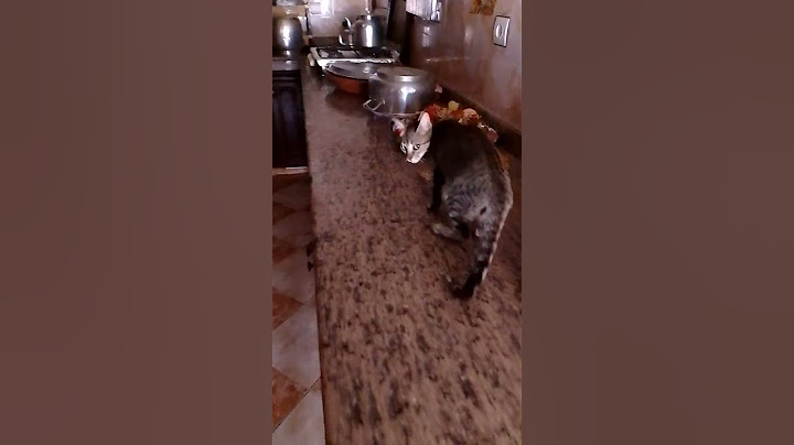 وأخيرا اكتشفت بنفسي من يأكل الطعام الذي تخبأه أمي في المطبخ  صدمة 😡😡😡
