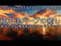 【夜のリラクゼーション】純正律ハープの心から安らぐハーモニー|A=432hz・癒し・ヒーリングBGM 🌿