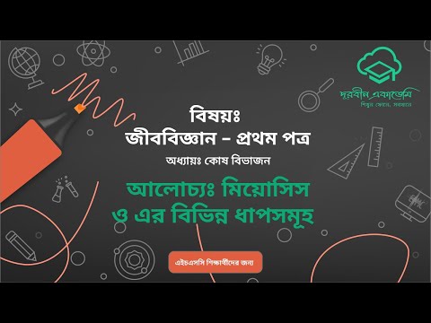 04. জীববিজ্ঞান - প্রথম পত্র (উচ্চ মাধ্যমিক) - কোষ বিভাজনঃ মিয়োসিস ও এর বিভিন্ন ধাপসমূহ