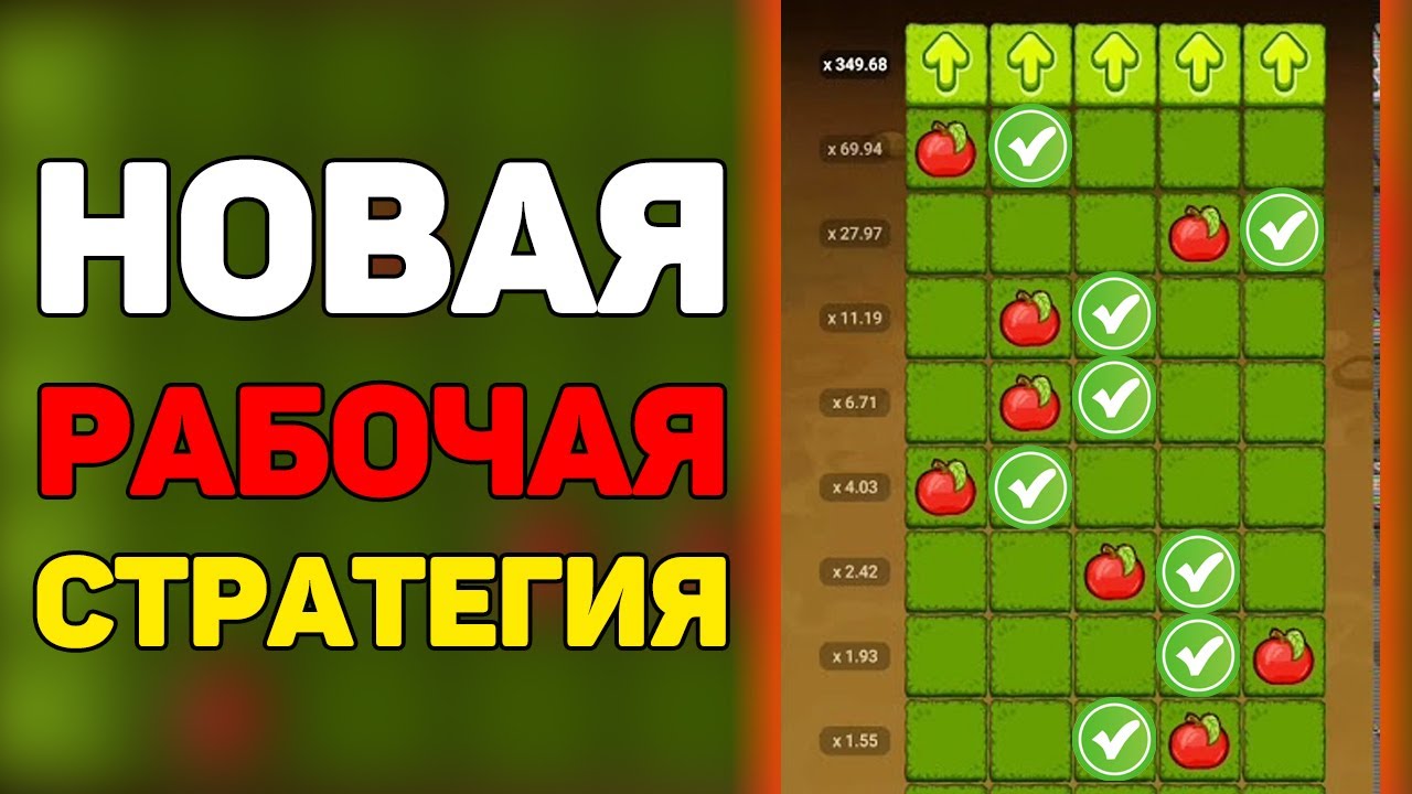 Схема яблочки 1хбет