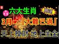 六大生肖：3月大難已過，天上掉財、地上生金。