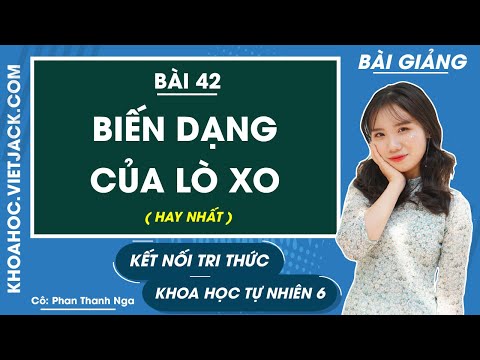 Video: Gian lận để tồn tại. Hệ thống ngụy trang và gây hiểu lầm