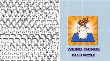 Weird Things Brain Puzzle Level 7 Find The Cat