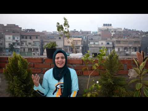 يا رايحين للنبي الغالي هنيالكم وعقبالي الي رحاب النبي