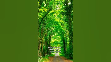 #قرآن #القرآن_الكريم #تلاوة_خاشعة #تلاوات #قران_كريم