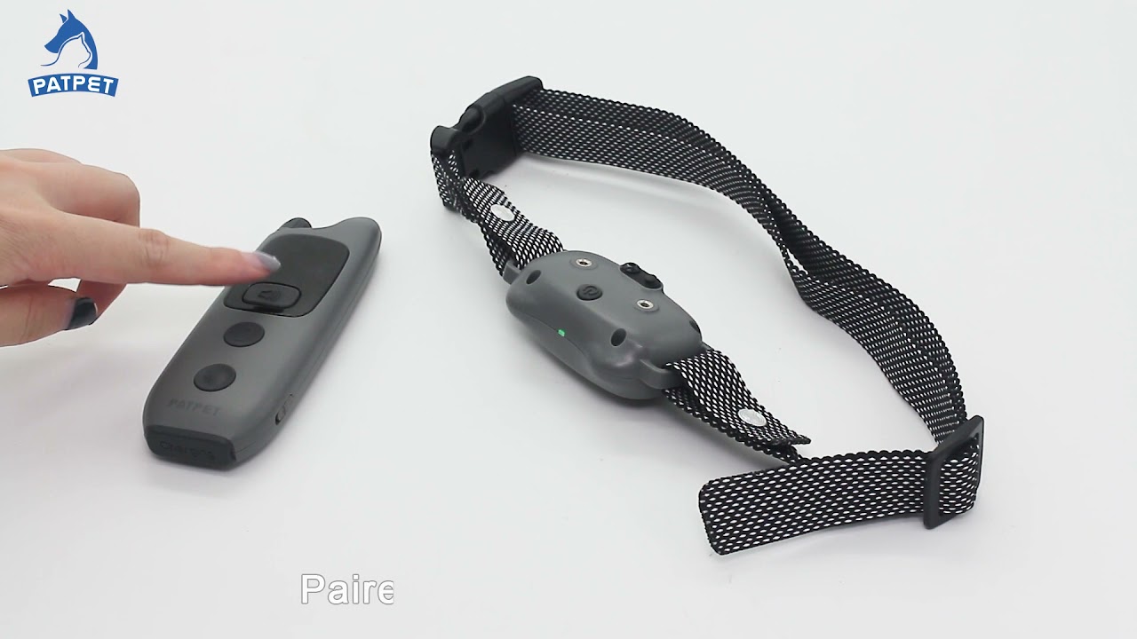 Pair the 682 Dog Collar PATPET YouTube