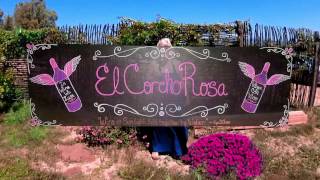 El Corcho Rosa Wine Bar - Valle De Guadalupe, Baja California, Mexico