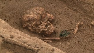 French archaeologists uncover Gaul burial site