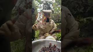 Recording Every Detail Of A Beekeepers Anti-Bee Suit Wasp Bucket
