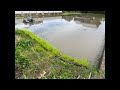 【5/4(月)朝LIVE】米作りの話！今の時期の作業についてとお知らせ