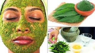 7 Surprising Beauty Benefits of Neem Leaves for Skin 🌿 screenshot 5