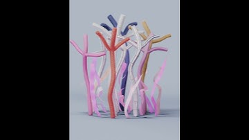 Mardini 2023 - Day 17 Flow