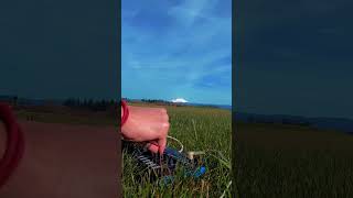 Music with the Mountain // Roland J6🗻🎶🌱
