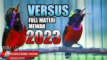 KOMPILASI MASTERAN KONIN JUARA - SULTAN VS SULTAN - COCOK UNTUK MASTERAN KOLIBRI NINJA FULL TONJOLAN