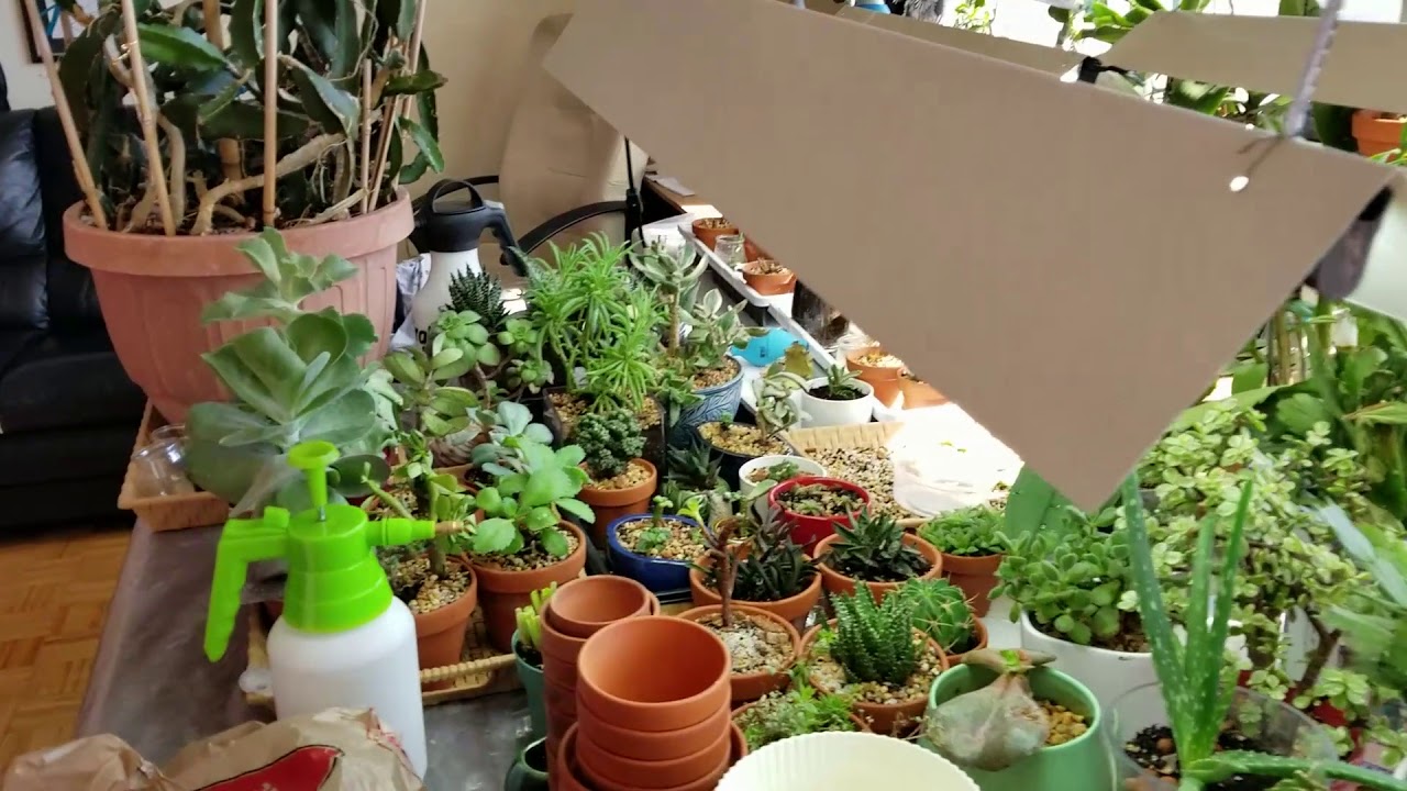 Apartment Garden Hose YouTube