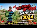 ठंड में मटर के तोड़ाई कैसे होता है भाई /प्लीज सपोर्ट करदो 🙏 #dkvlogbhojpurme #suport #please 