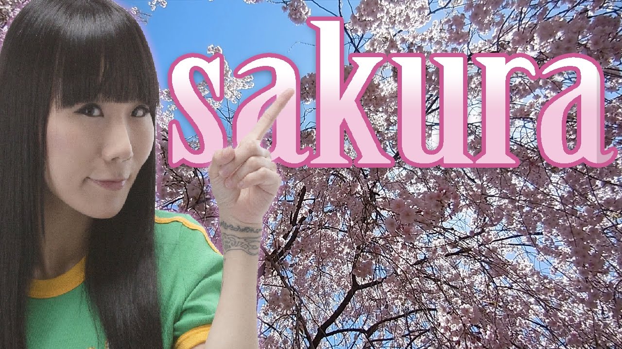 As Cerejeiras (Sakura) - Tamo Junto no Japão