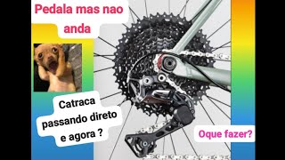 Bike pedals but doesn't move