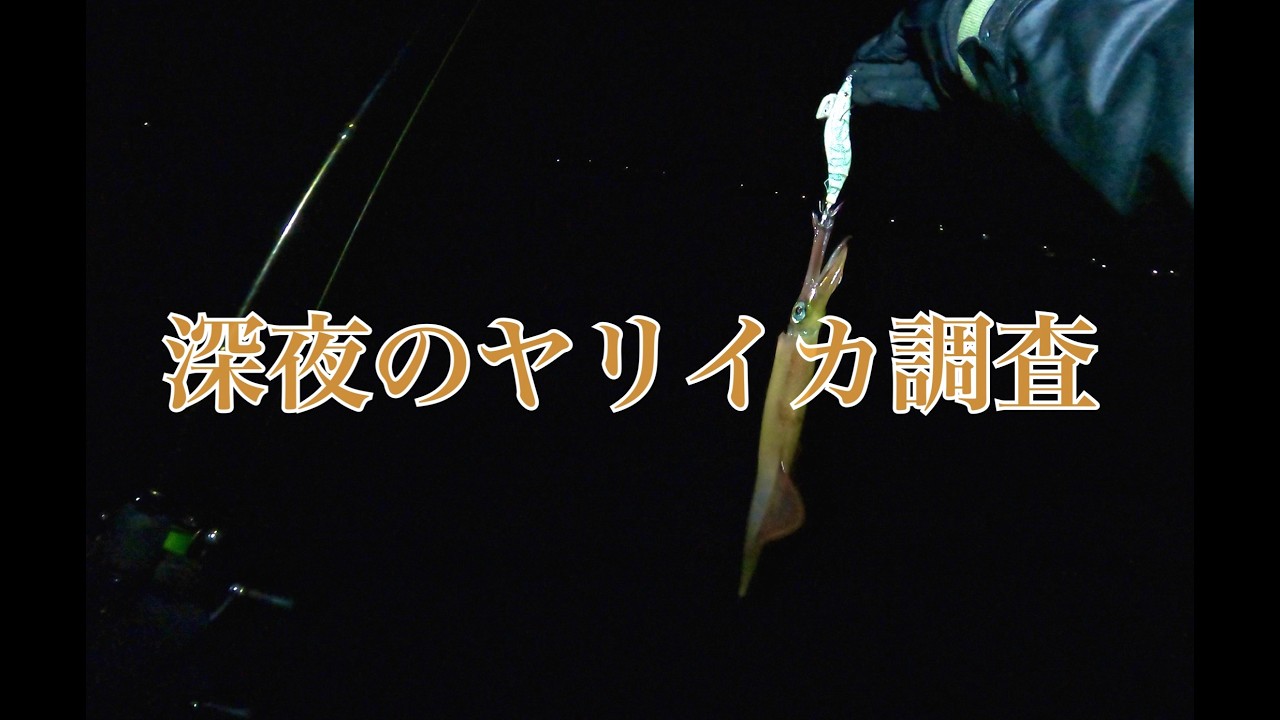 冬限定のこの釣りがまだまだ楽しい