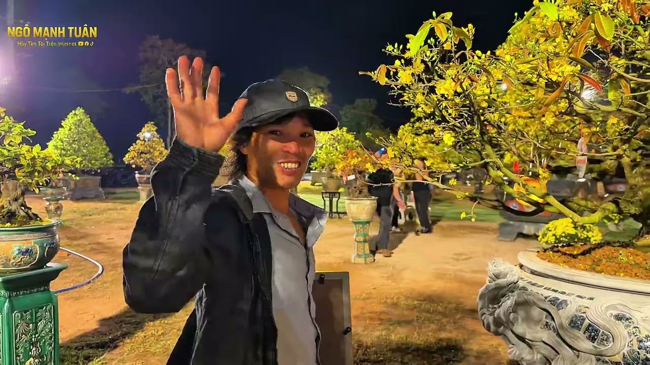 Đêm cuối Tại lễ Hội mai vàng-  An Nhơn - Bình Định 