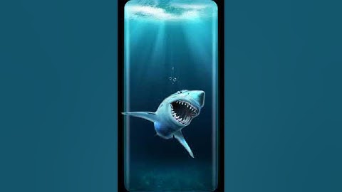 Deep sea giant shark Animated