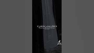 تلاوة تريح القلب محمد أيوب