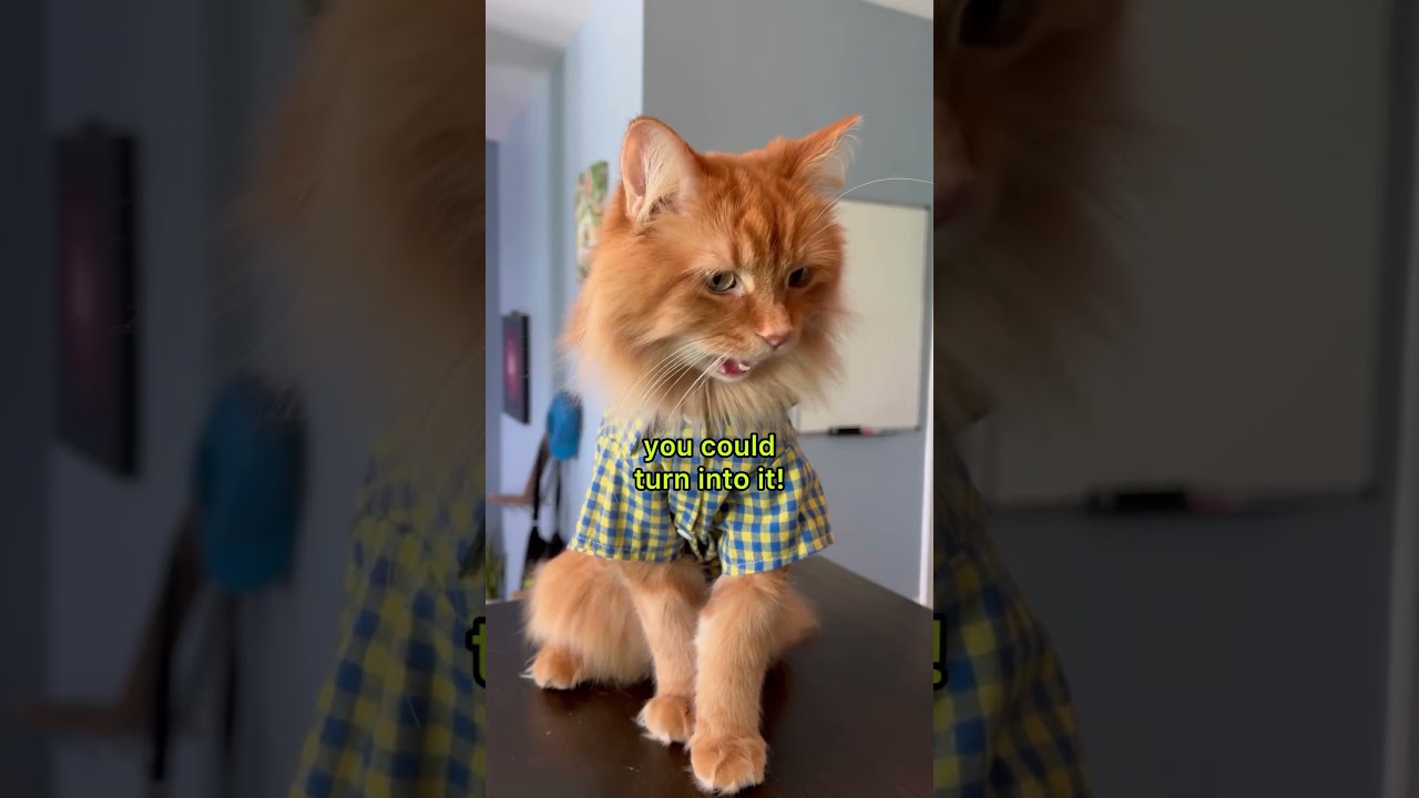 He gives loafing a whole new meaning. 🍞 