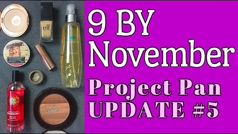Project Pan Update #5: 9 By November