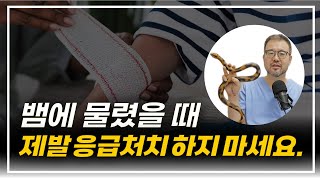 [털보의사] 뱀에 물렸을 때 가장 먼저 해야 할 대처법 알려드립니다. by 털보의사 김진균 620,461 views 1 month ago 18 minutes