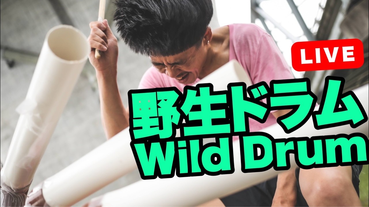 Wild Drum in Tokyo 2026.7.5 #shorts