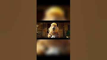 Capy giúp bà diệt sâu và cái kết #capybara