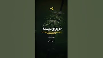 القارئ |عبدالرحمن الشبل #قرآن #تلاوات