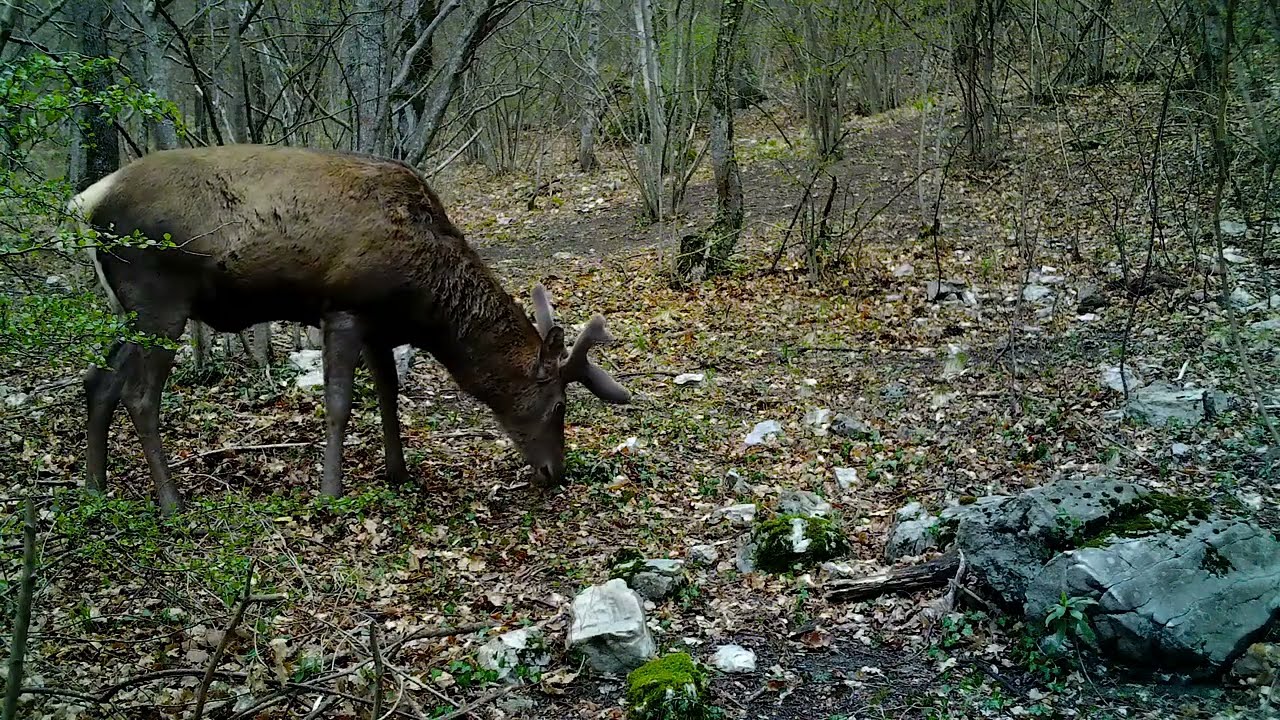 LA VALLE DI RIO SACRO, Parco Nazionale dei Monti Sibillini