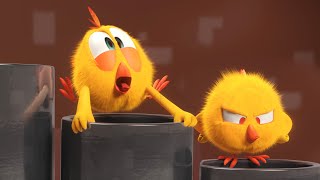 Where's Chicky? | The Organ (S02E18) Cartoon Collection In English For Kids | New Episodes