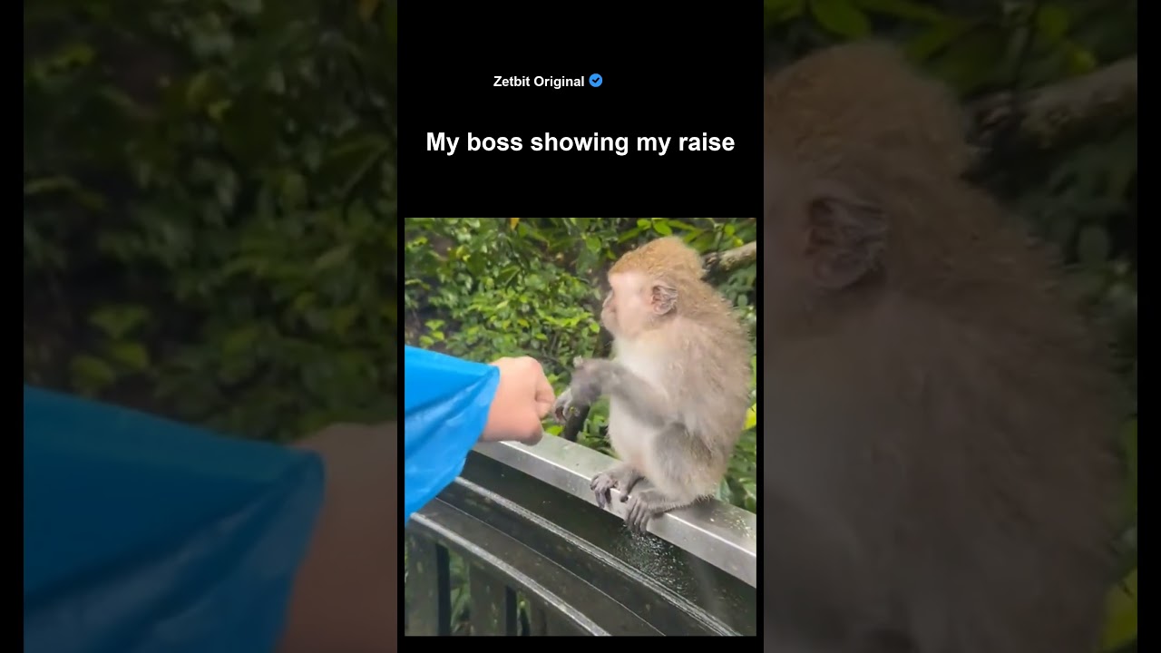 My boss showing my raise #softwaredeveloper #programmerlife #coding
