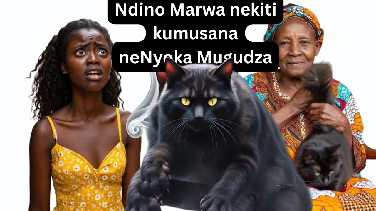 Zvakatanga Mushure Mekunge Baba Vashaya