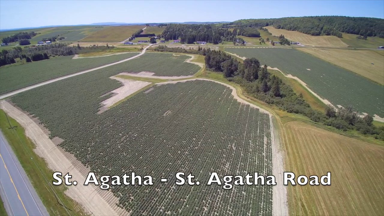 VM69 St Agatha St Agatha Road YouTube