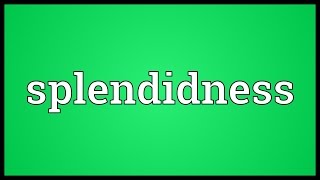 Splendidness Meaning