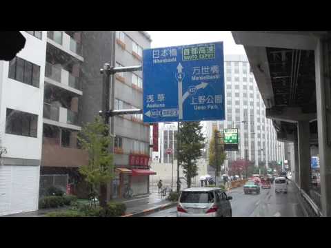 2016/11/24 東京都心で初雪観測 11月では54年ぶり 上野