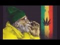 Snoop doog smoke weed everyday