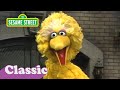 Sesame Street: Everybody in my Family with Big Bird