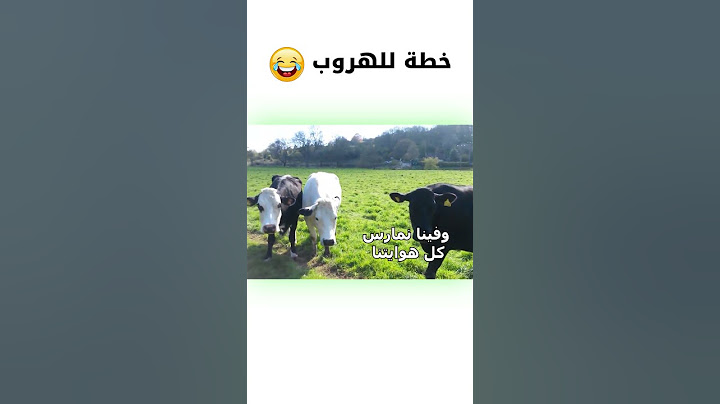 هروب البقر في عيد الاضحى 😂 | #عيد #ضحك #اكسبلور #ضحك #السعودية #دبلجة_مضحكة #كوميديا #دوبلاج #لايك