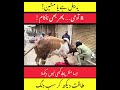 A powerful bull shocked everyone during Qurbani 2026!