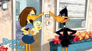 The Looney Tunes Show S01E16 Thats My Baby Review