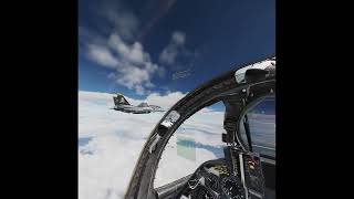 2026 09 05 00 19 22 A little Tomcat (BU) form flying with Pepe