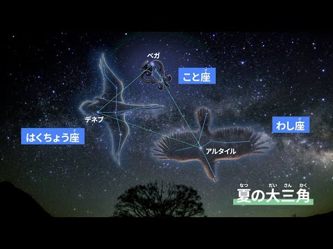 【図鑑】学研の図鑑LIVE「星と星座 新版」の見どころを紹介！