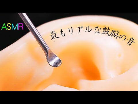 【ASMR】パキパキ鼓膜とニチニチ耳介の最もリアルな耳かきの音👂🤤モッチリしたお耳をステンレス耳かきとシャワー綿棒でお外ペトペト中カリカリの腰がゾクゾクする気持ちイイ両耳同時の耳掃除♪高音圧【音好き】