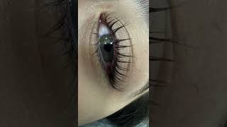 Salon in Dubai Eyelash Secret Lash extensions Dubai Салон Дубай Lash Lift 175 AED