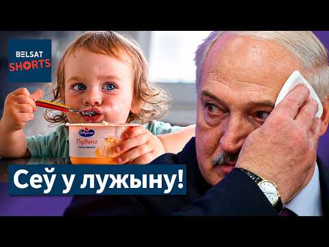 💥Лукашэнка сеў у малочную лужыну: прыватнік разбіў дзяржаўных гігантаў